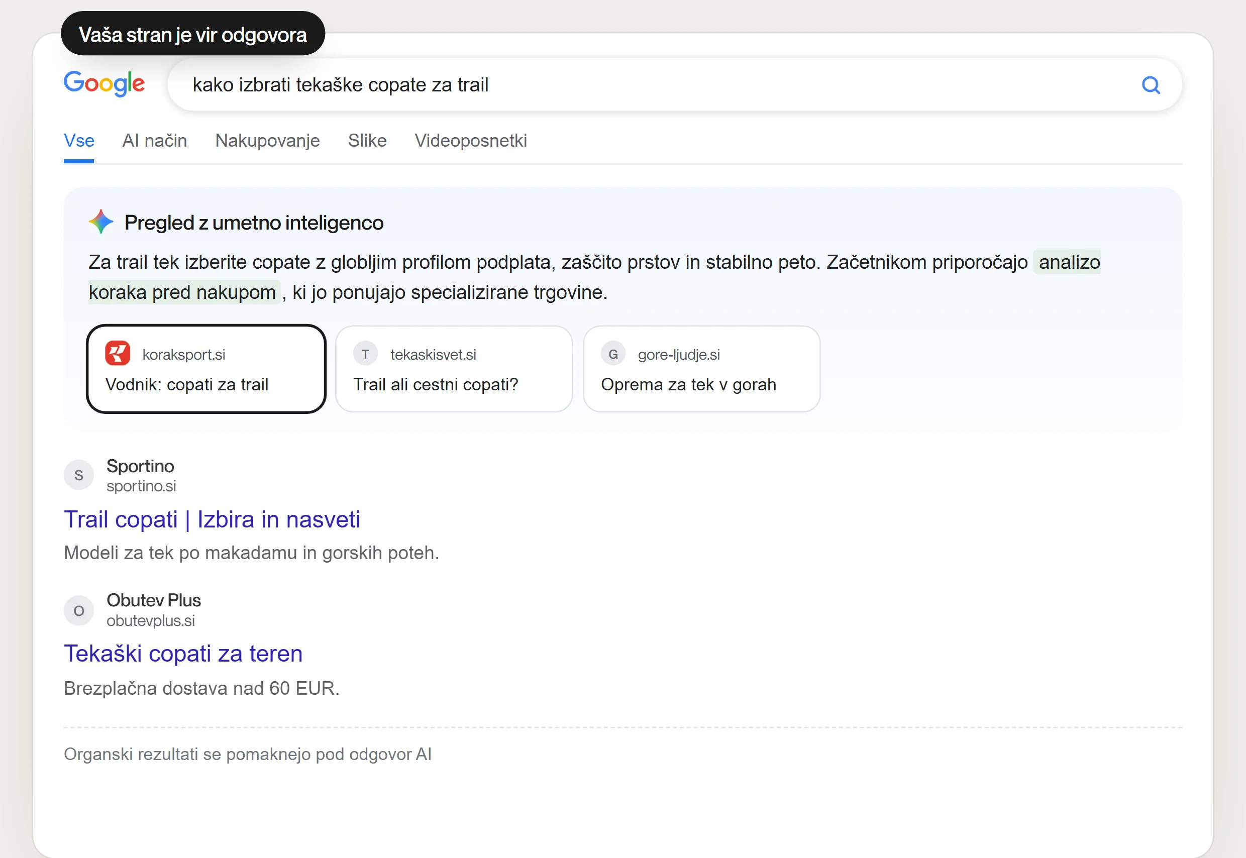 Googlov pregled z umetno inteligenco navaja koraksport.si kot vir
