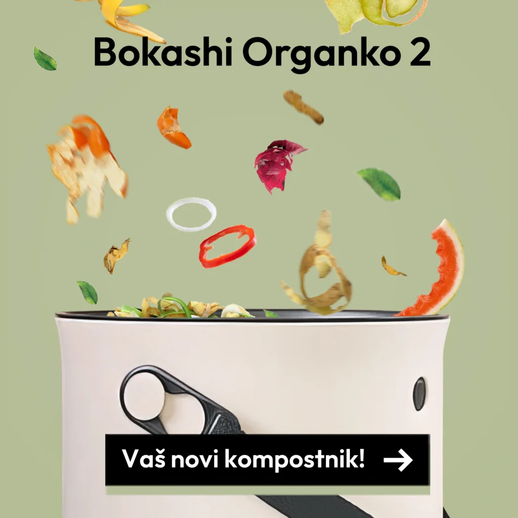 ustvarjanje grafično oblikovane vsebine za facebook oglaševanje
