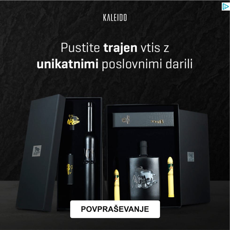 google oglaševanje za vodilna podjetja s pomočjo butične digitalne agencija, primer oglasa 14